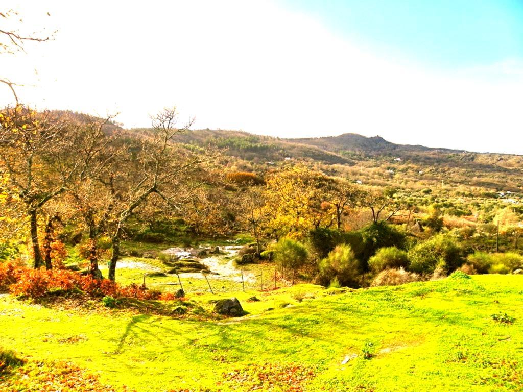 Quinta Do Marvao ξενώνας Δωμάτιο φωτογραφία