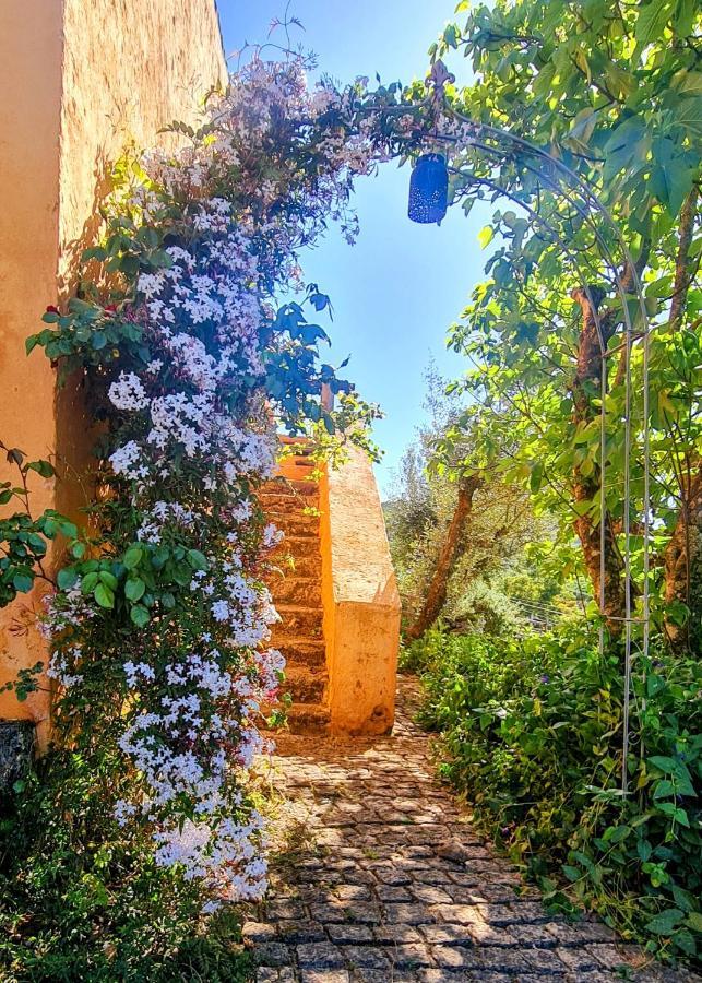 Quinta Do Marvao ξενώνας Εξωτερικό φωτογραφία