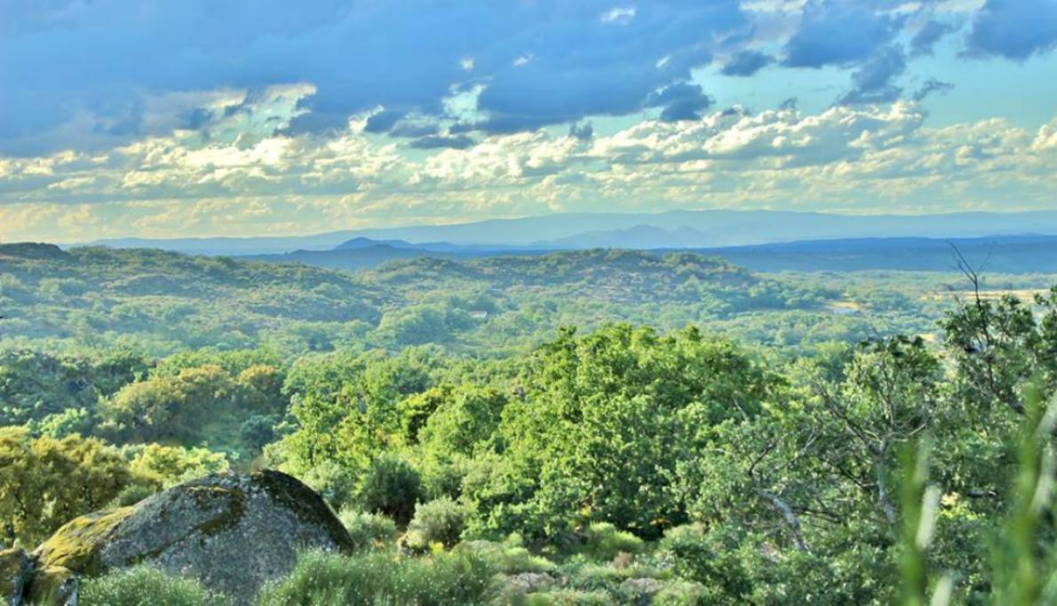 Quinta Do Marvao ξενώνας Εξωτερικό φωτογραφία