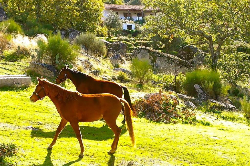 Quinta Do Marvao ξενώνας Εξωτερικό φωτογραφία